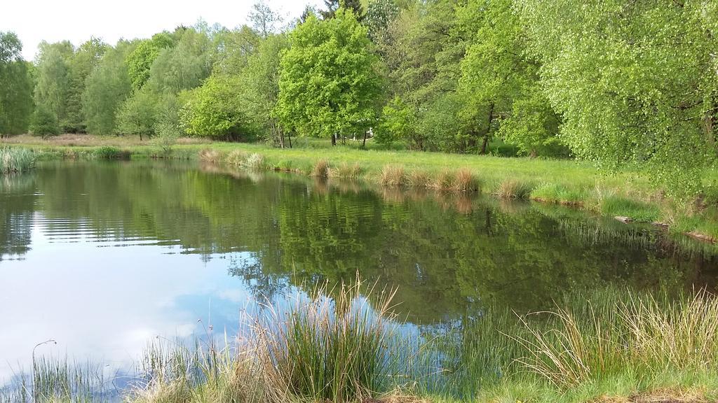 Gastezimmer - Campingplatz Am Muhlenbach Soltau Exteriör bild